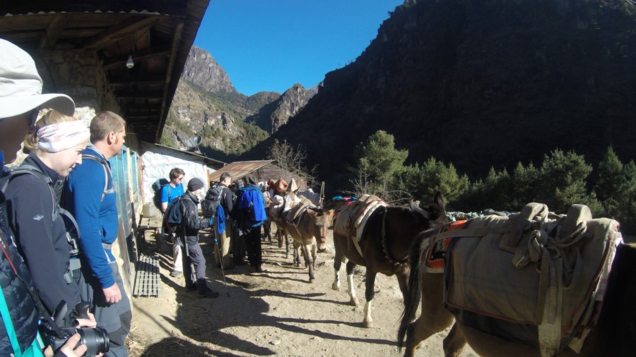 Nepal Trekking Tourism and Adventure